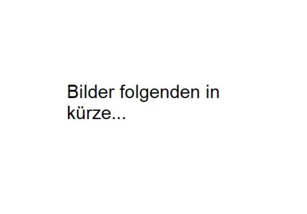 LG GBB92MCAXP Kühl-/Gefrierkombination matt schwarz/edelstahl